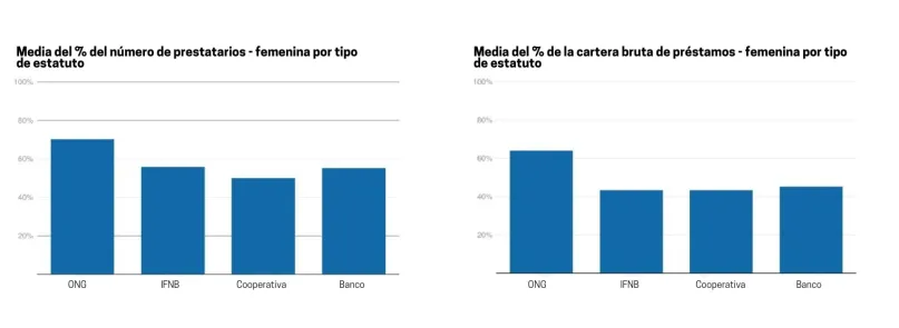 Gráfico 4 Media % de prestatarios cartera bruta de préstamos charter type