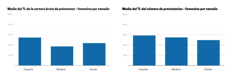 Gráfico 5 Media porcentajes cartera bruta número prestatarios