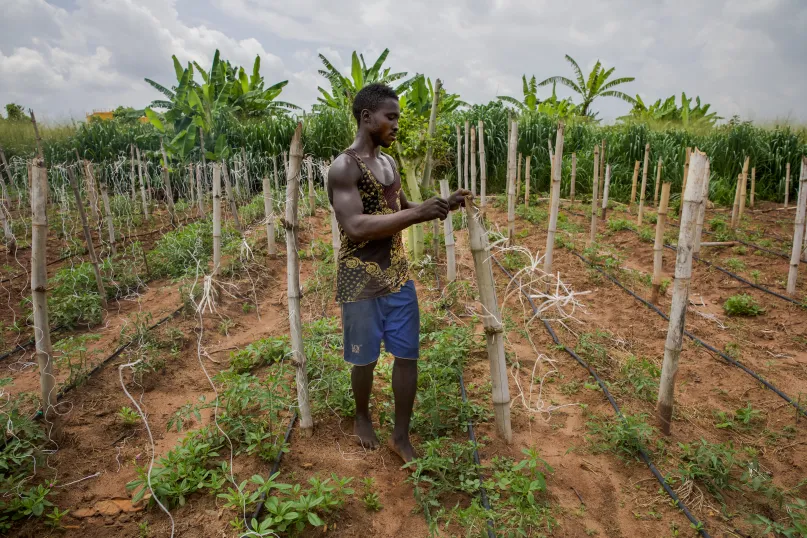 Un cultivateur dans son champ au Nigeria