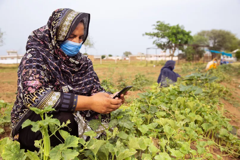 بشرى أبرار، إمرأة في زي تقليدي، تستخدم هاتفها المحمول أثناء حصاد الخضار في قرية تشاكوال في البنجاب، باكستان. وقد قامت منظمة بودا غير الحكومية بتدريبها على الإستقلال المالي من خلال تعليمها هذه المهارة الحياتية. معظم النساء في هذه القرية لسن فقط متعلمات بل أيضاً مستقلات ماليًا.
