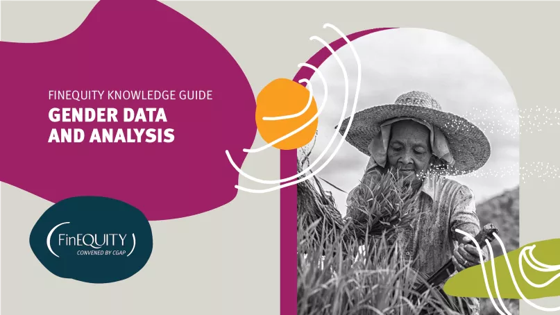 FinEquity Knowledge Guide: Gender Data and Analysis 
