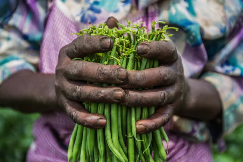 Farmer holding beans, Kenya. Photo by Mwangi Kirubi, 2015 CGAP Photo Contest.