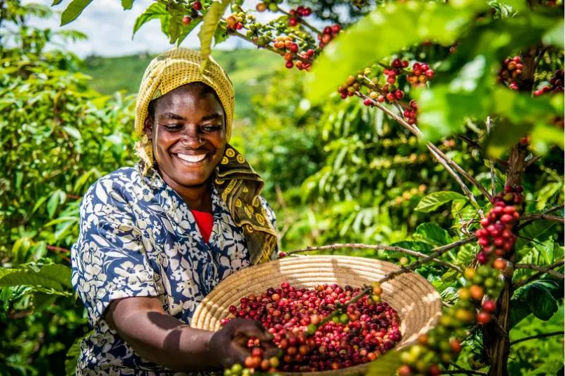 Smiling woman with a basket of coffee beans against a verdant background in Uganda.