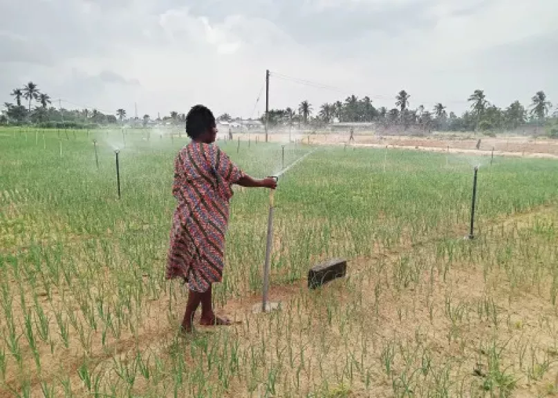 Rebecca, une agricultrice, travaille dans sa ferme au Ghana.