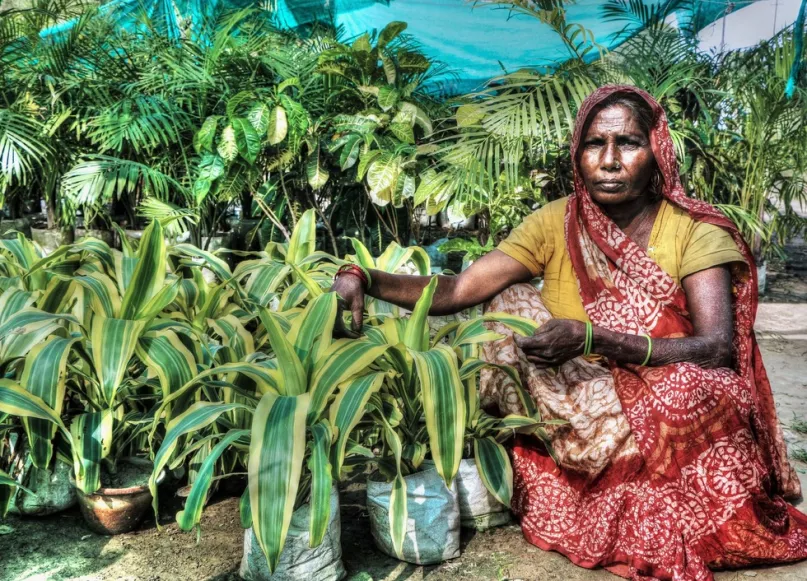 A Woman showing houseplants she cultivates. Photo by Vikash Singh CGAP Photo Contest 2015