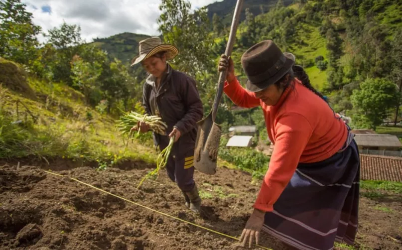 Mujeres rurales del Valle de Cauca. Foto: Fundación WWB Colombia.
