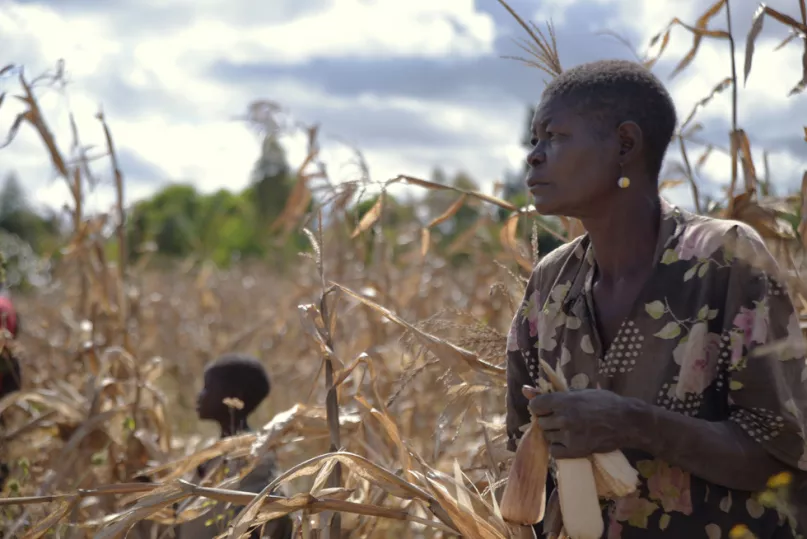 Woman looking at her maize field, Malawi. Photo credit: Kirk Mason, 2015 CGAP Photo Contest.  
