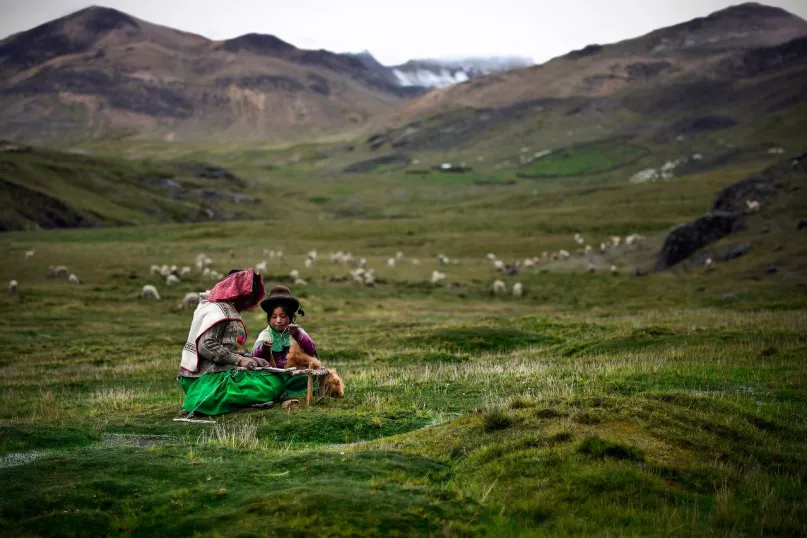 Trabajando con alpacas en Perú. Por Ana Caroline de Lima, Concurso de Fotografía CGAP 2017.