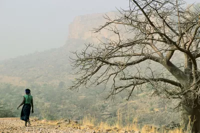 A woman walking away from a dry tree.