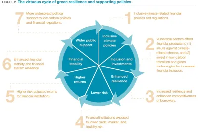 Chart showing the virtuous cycle of green resilience and supporting policies