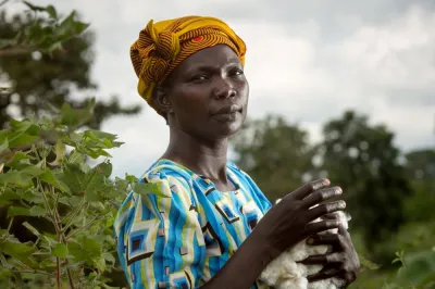 Woman with head covering holding cotton on her family farm in Uganda.