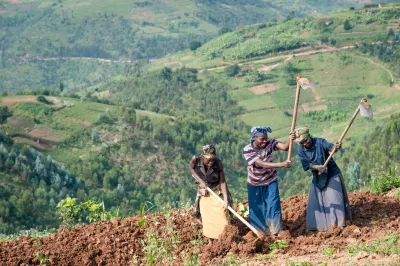 Trois agricultrices préparent un champs au Rwanda. 