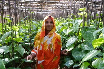 Betel leaf grower, Bangladesh. Photo by Khaled Arafat Ahmed, 2015 CGAP Photo Contest.