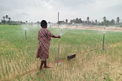 Rebecca, une agricultrice, travaille dans sa ferme au Ghana.