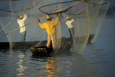Fisherman in the sea, World Bank photo.