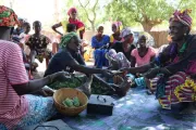 Savings group in Senegal, women sitting and handing over cash.