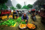 Farmers in China selling vegetables and oranges with motorcycles, green trees and misty mountains behind them.