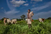 Young farmer in Ghana. Photo by Evans Ahorsu, 2018 CGAP Photo Contest.