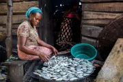 Femme et poissons, Nigeria. CGAP Photo (Temilade Adelaja via Communication for Development Ltd)
