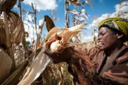 Tanzanienne dans les champs. Photo de Sudipto Das, Photo Contest 2012.