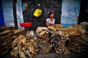 Mujer vendiendo pescados. Por Marco Simola, Concurso de Fotografía CGAP 2011.